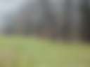 Starwind Farm - Photo 3
