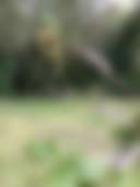 Vine Creek Retreat - Photo 2