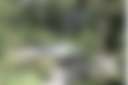 Dybara Park - Photo 3