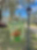 Whispering Pines RV Park - Photo 2