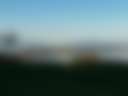 Fuzzy Farm - Photo 3