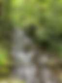 Smokey Mountain Nature Retreat