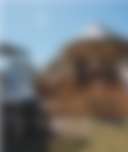 Outdoorsy Hill Country - Photo 2