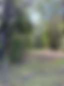 La Estancia Hideaway at Jervis Bay - Photo 3