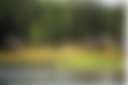 Stay A While RV Park & Farm