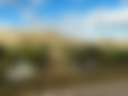 Blue Cut RV Park
