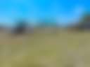 Horseshoe Acres RV & Mobile Home Park