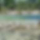 Clear Water Ranch & Resort