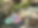 Wild Seeds Ranch - Photo 2