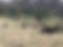 PR Ranch - Fly Fishing - Photo 2