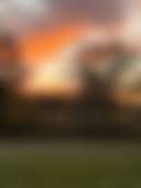 Sweet Escape - Photo 2