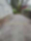Woodland City Stay - Photo 2