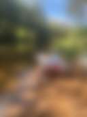 Conondale Valley Farm - Photo 3