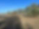 Reedy lakes farm stay - Photo 3