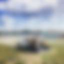 White Oaks on the Lake RV Resort