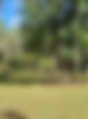 Curra Park