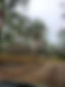 Coastal River RV Resort - Main photo