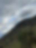 Mole River Camping - Photo 2