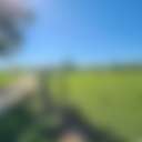 Plantersville RV Park - Photo 2