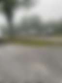 Mike's Place RV Park - Photo 3