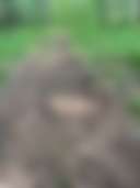 Wisper Wind Farms - Photo 3