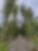 Meadows Family Farm Ltd - Photo 2
