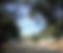 Ortega Oaks RV Park & Campground - Photo 2