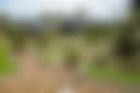 BIG4 Maroochy River - Photo 2