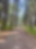 Lions Park Campground