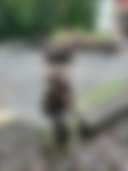 Unplugged Acres - Photo 2