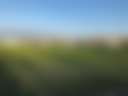Cactus Country RV Park