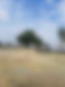 Rocking A RV Park - Photo 2