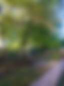 South Main RV Park - Photo 2