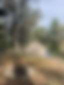 Maliyanamarra - Photo 2