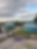 Spire View Yurts