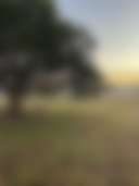 GlenEllen Farm