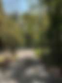 Dingmans Campground - Photo 2