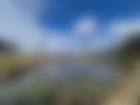 Pipe Dreams Pastoral - Photo 3