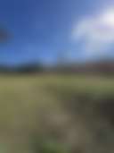 The Tin Farm House - Photo 3
