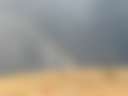 Yellowstone Eco Farm Retreat - Photo 3