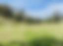 Cassilis Ridge - Photo 2