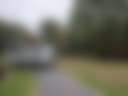 Giant Pines Rustic Camping - Photo 2
