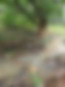 Chacara Creekside Camp - Photo 2