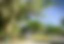 Hollywood Casino Gulf Coast RV Park - Photo 3