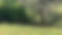 Lark Hill - Photo 3