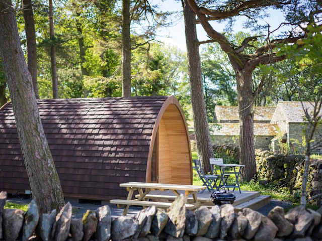Wooden camping pod set among tall pine trees with mountains in background, gravel path leading to it