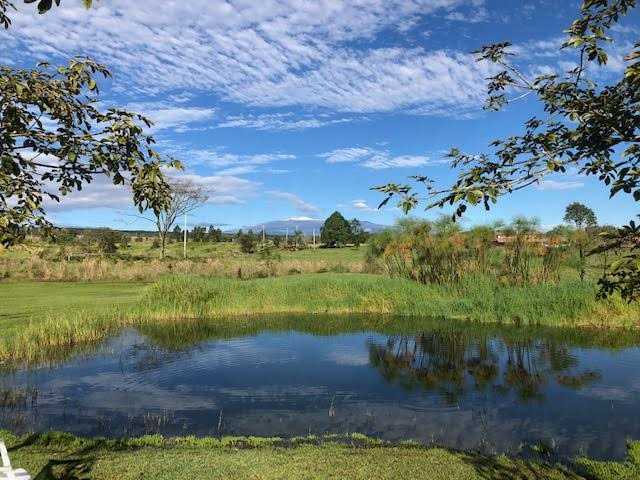 Reflective pond bordered by grass and reeds under blue sky, framed by overhanging tree branches