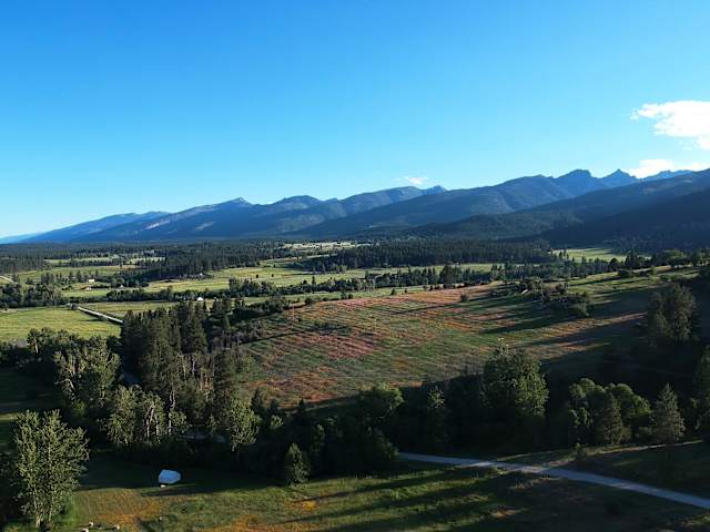 Aerial view of a mountain valley campground with wildflower fields and forested ridges