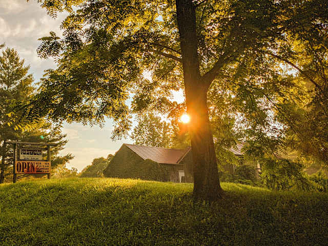 Sunset light through trees beside a barn with an open sign on a grassy hill