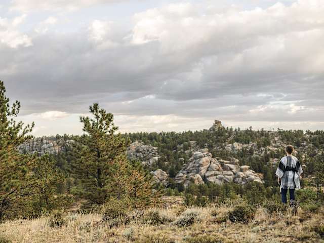 Person standing on grassy ridge overlooking rocky outcrops and pine forest under cloudy sky